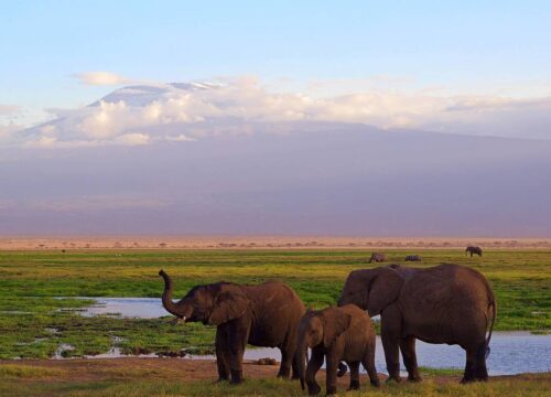 10- Days Tailor-Made Private Western Kenya Vacation, Daily Departure