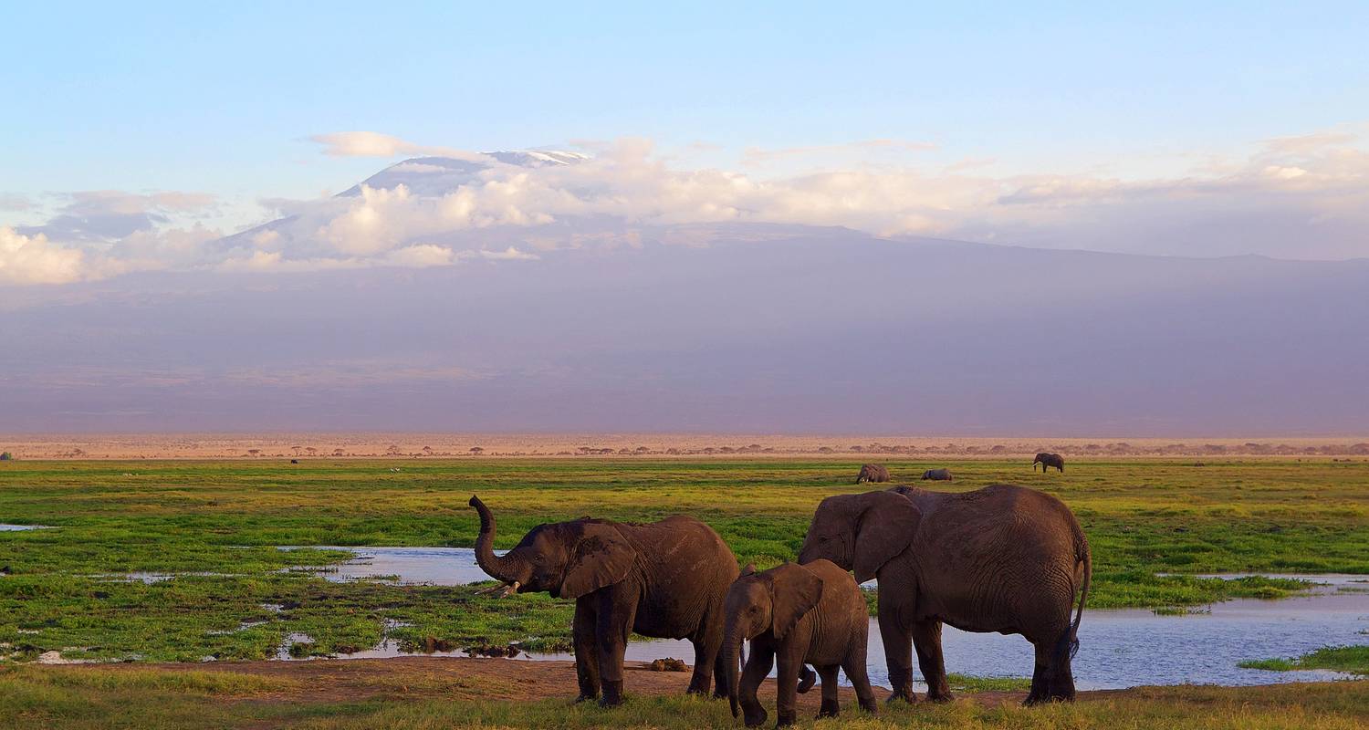 10- Days Tailor-Made Private Western Kenya Vacation, Daily Departure