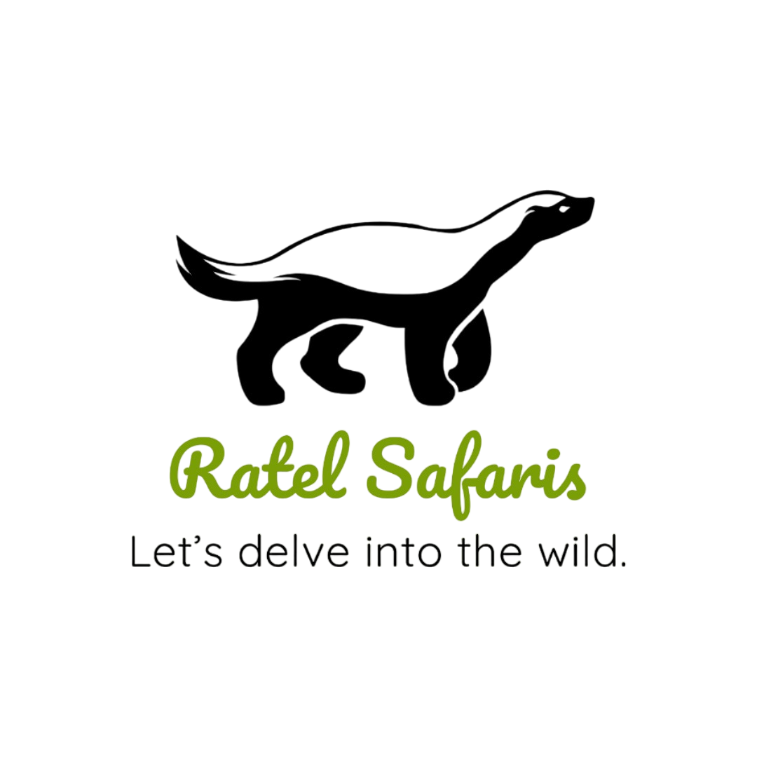 Ratel Safaris