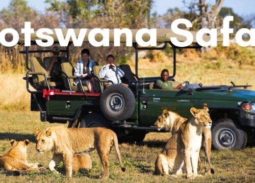What to Expect on a Luxury Botswana Safari