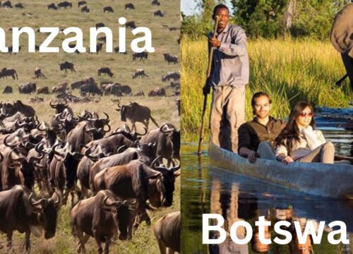 Botswana vs Tanzania Safari: How to Choose Your Ultimate Luxury Experience