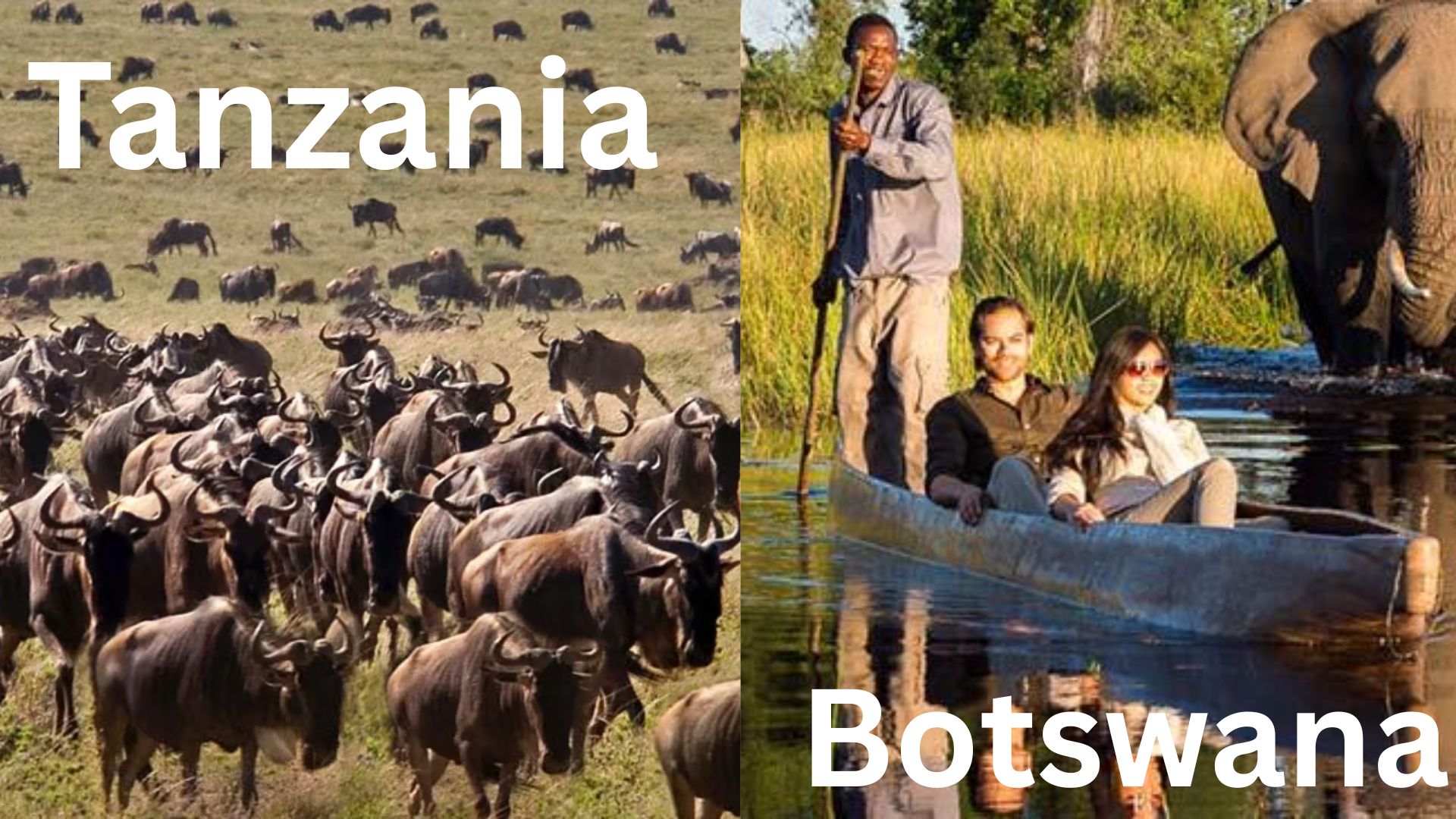 Botswana vs Tanzania Safari: How to Choose Your Ultimate Luxury Experience
