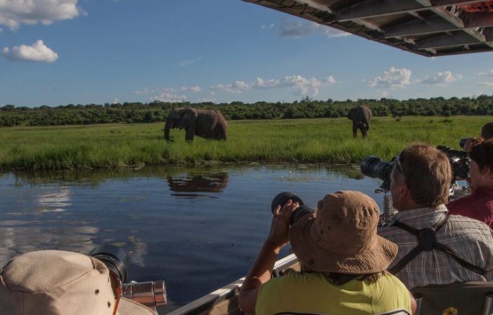 Chobe National Park | Luxury Botswana Safari| ratel Safaris