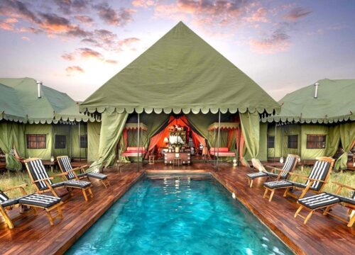 Top 5 Luxury Safari Camps in Botswana for 2025