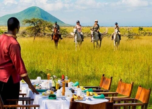 Luxury Safaris in Africa: A Comparative Guide