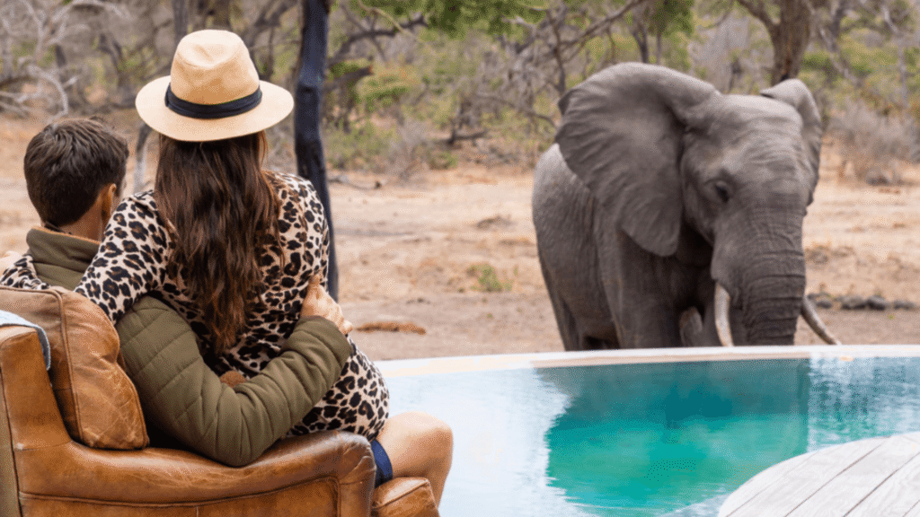Luxury Safaris in Kenya - Ratel Safaris