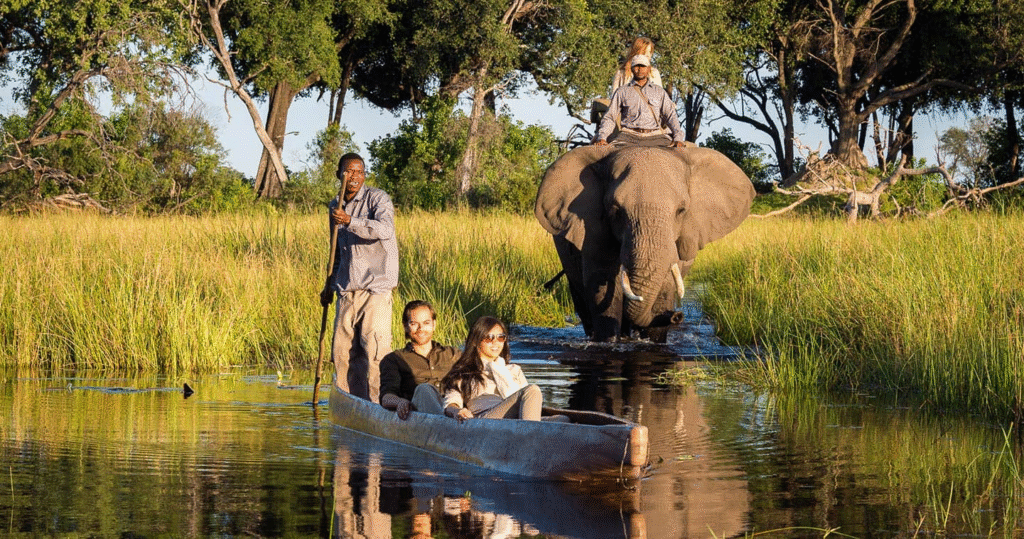 Luxury Safaris in Africa - Ratel Safaris
