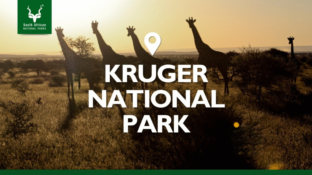 Kruger NP - Luxury Safaris