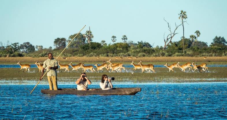 Why Botswana Is Africaís Best Luxury Safari Destination