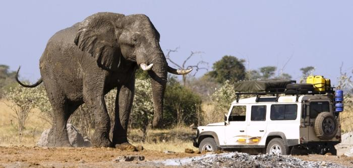 Luxury Safaris in Botswana - Ratel Safaris