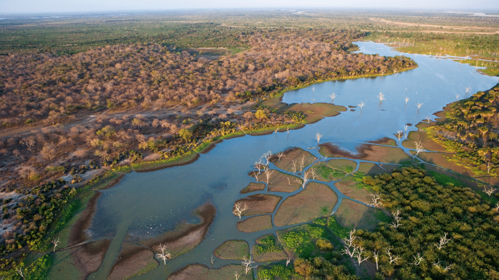 Luxury Botswana Safari - Ratel Safaris
