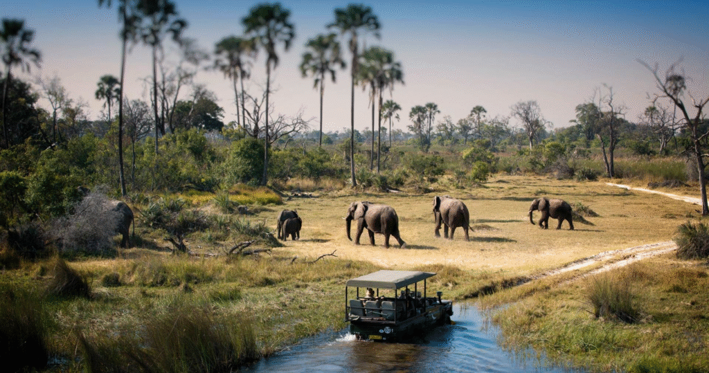 Luxury Botswana Safari - Ratel Safaris