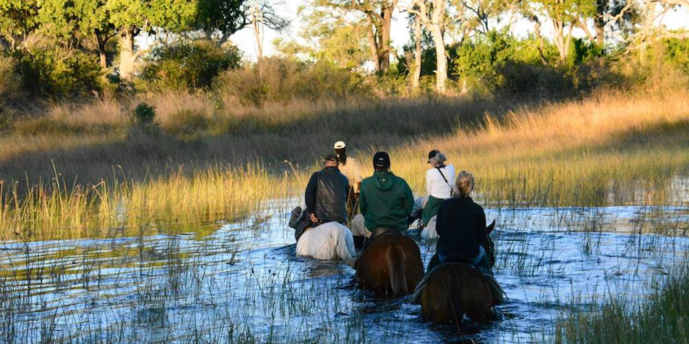 Botswana Safaris