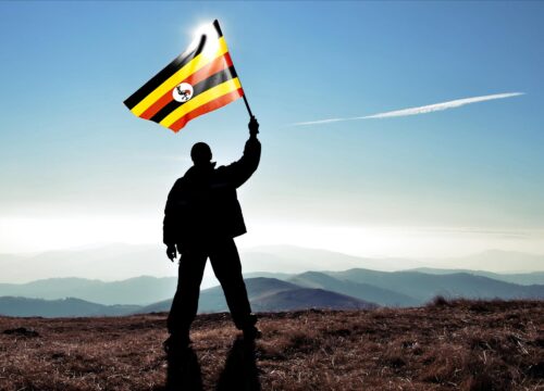 Best Time to Visit Uganda for a Safari
