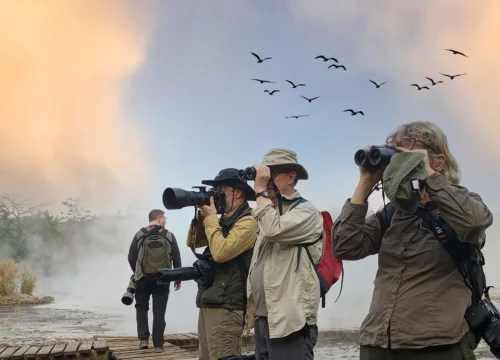 Birdwatching Hotspots in Uganda You Must Visit