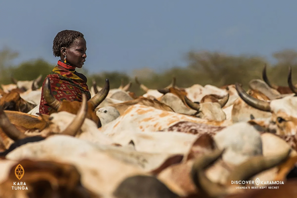 Unique Cultural Experiences in Karamoja