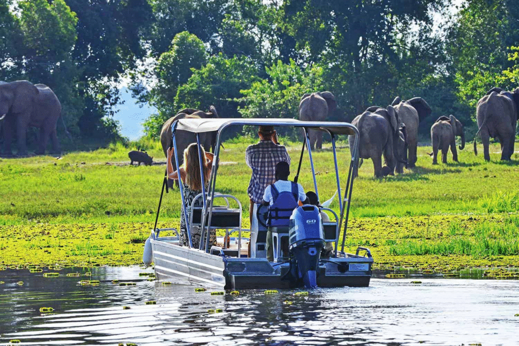 Best Time to Visit Uganda for a Safari