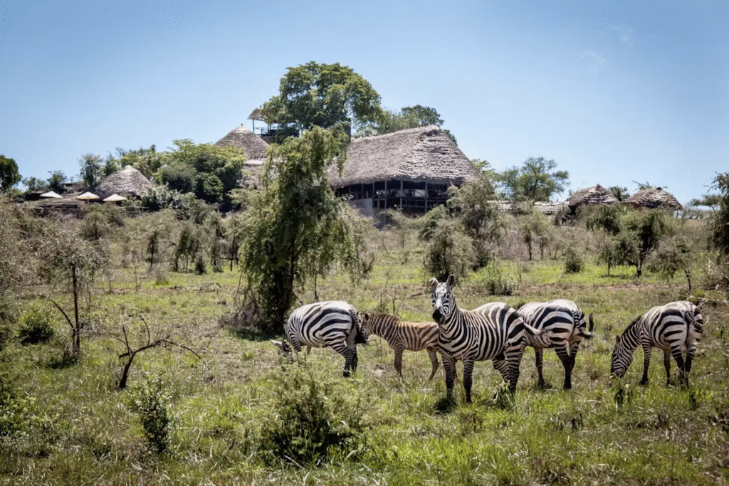 Wildlife Safari in Kidepo Valley National Park
