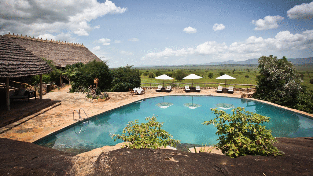Wildlife Safari in Kidepo Valley National Park