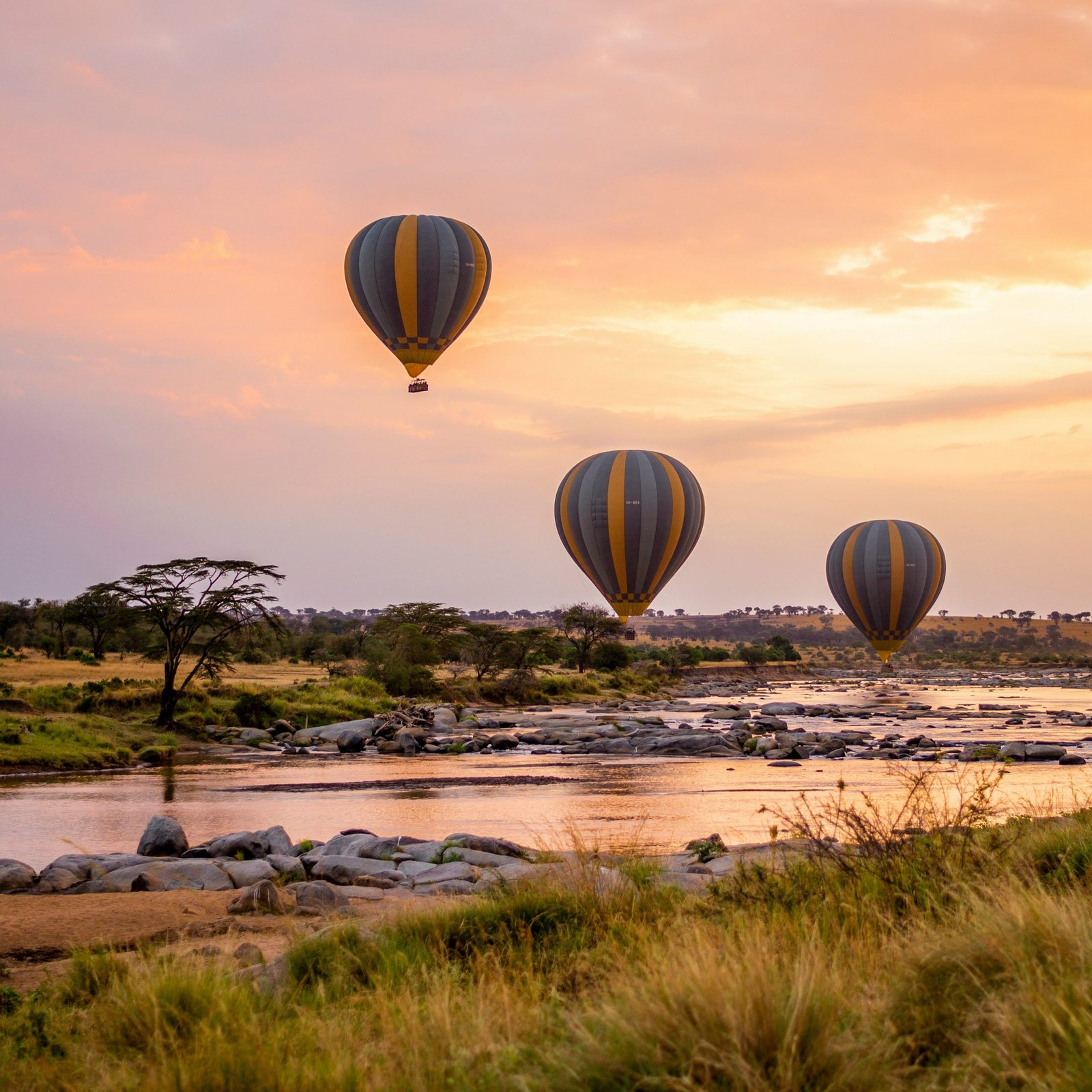 Best Time to Visit Serengeti