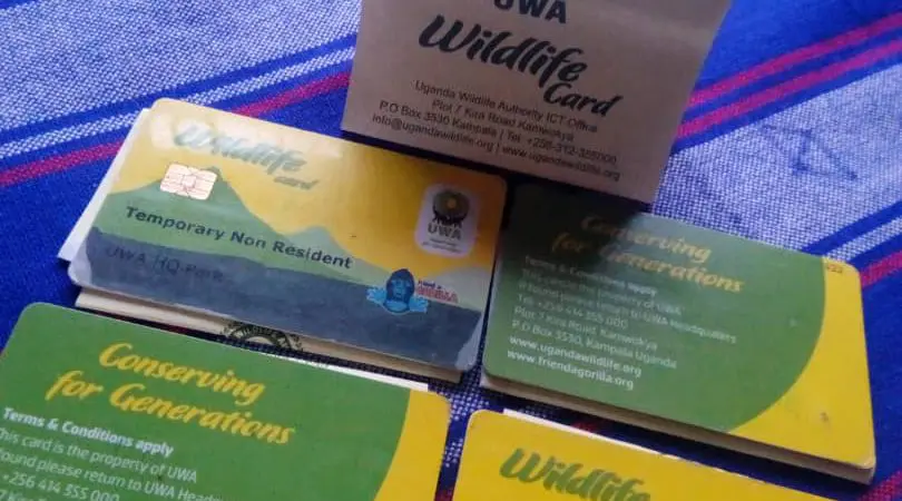 Guide to Gorilla Trekking in Uganda