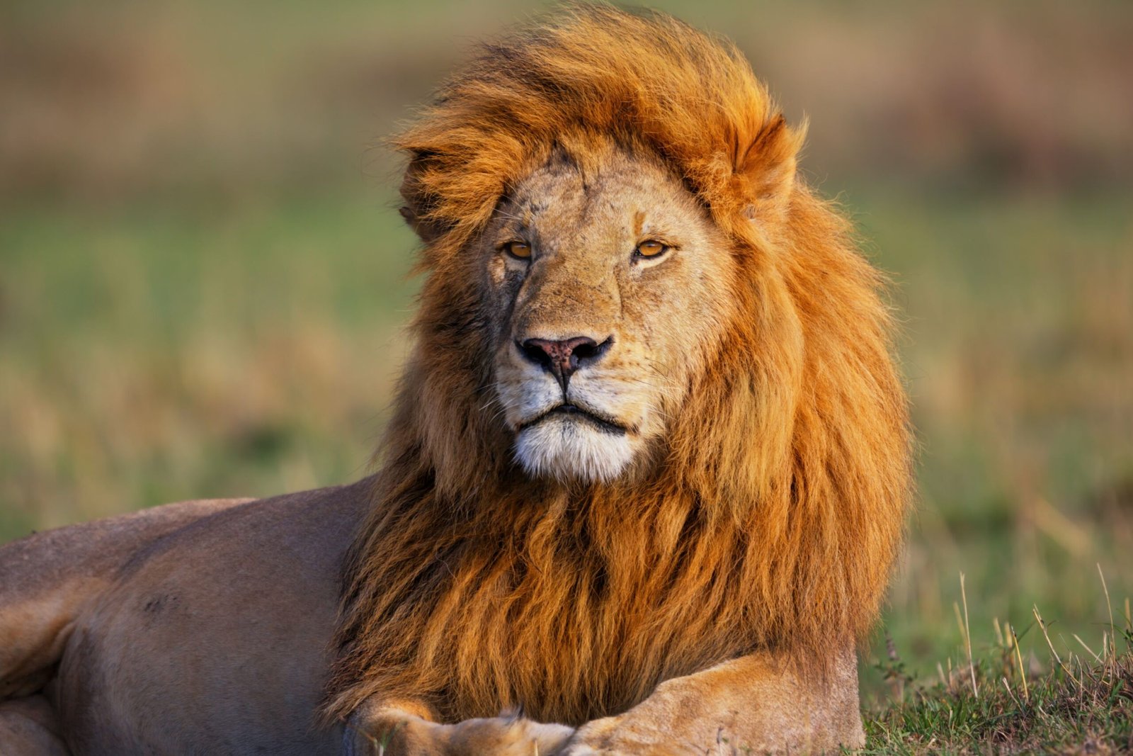 Serengeti National Park