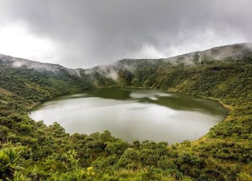 4 Days Mount Bisoke and Chimpanzee Tour