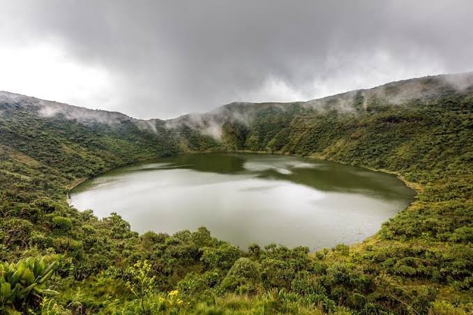 4 Days Mount Bisoke and Chimpanzee Tour