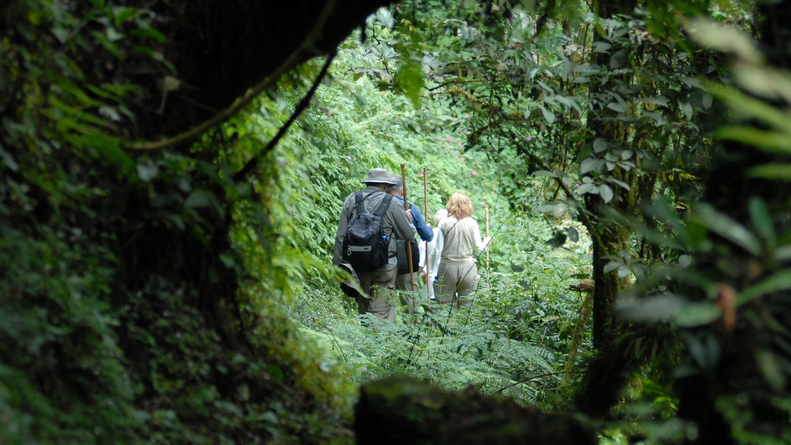 Gorilla Trekking in Rwanda